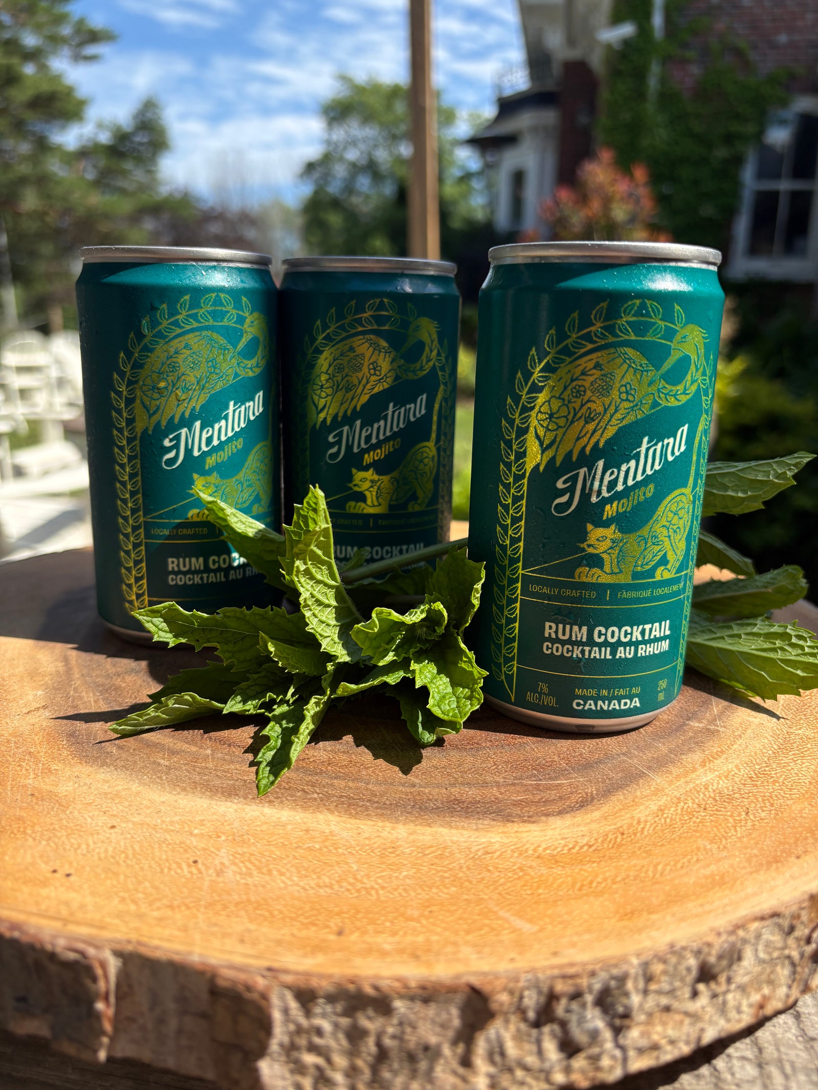 Mentara Mojito Cocktail
